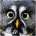 ylycofir's Avatar